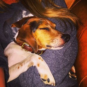 Image post by @laraleatrump on Instagram