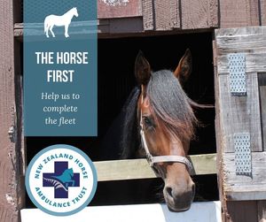 Image post by @NZHorseAmbulanceTrust on Facebook
