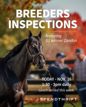 Image post by @theTDN on Twitter