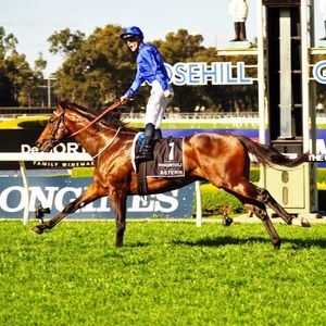 Image post by @australianturfclub on Instagram