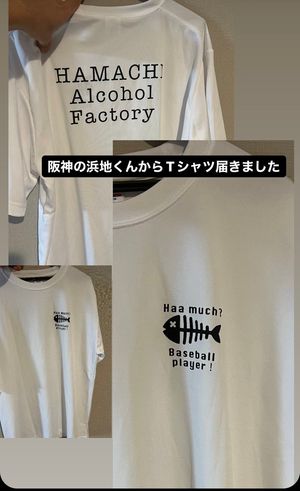 Image post by @kodaisenga on Twitter