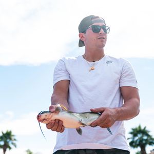 Image post by @marlins on Instagram