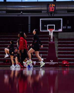 Image post by @lmulionswb on Instagram