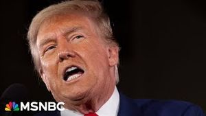 Video post by @msnbc on YouTube