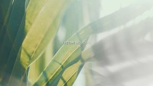 Image post by @djconradfilms on Instagram