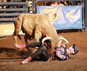 Image post by @bullfightersonly on Instagram