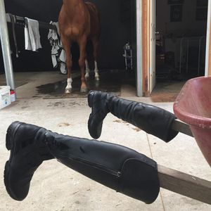 Image post by @snaffle_it on Instagram