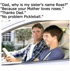 Image post by @thepickleballclinic on Instagram
