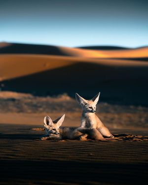 Image post by @fubiz on Instagram