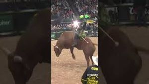 Video post by @pbr on YouTube