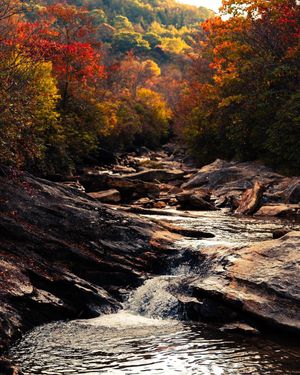 Image post by @nationalparkscollective on Instagram