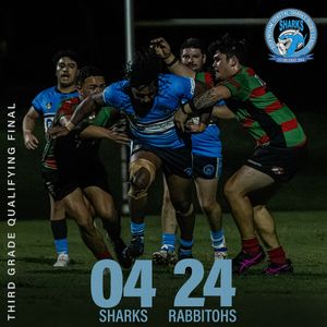 Image post by @rockinghamsharksrl on Instagram