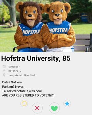 Image post by @hofstrau on Instagram