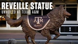 Video post by @tamu on YouTube