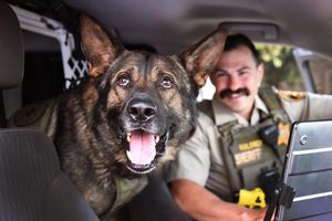 Image post by @vcsheriff on Instagram