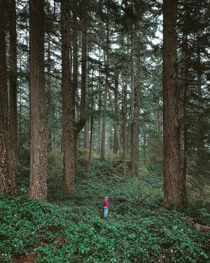 Image post by @moment on Instagram