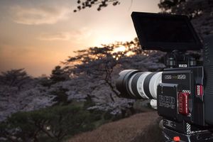 Image post by @reddigitalcinema on Instagram