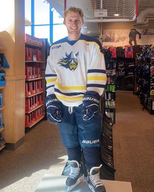 Image post by @everythingcollegehockey on Instagram