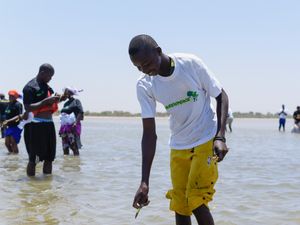 Image post by @greenpeace on Instagram