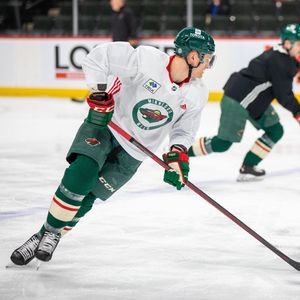 Image post by @minnesotawild on Instagram