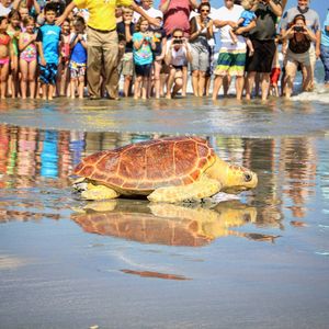 Image post by @toadfishoutfitters on Instagram