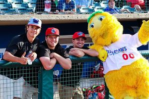 Image post by @blueclaws1 on Instagram