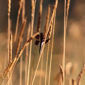 Image post by @ianjacobs.photos on Instagram