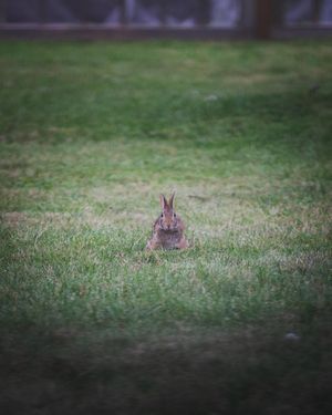 Image post by @nlabrusc on Instagram