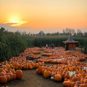 Image post by @tourismabbotsford on Instagram