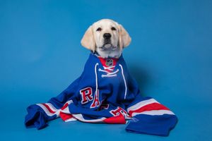 Image post by @NYRangersPup on Twitter