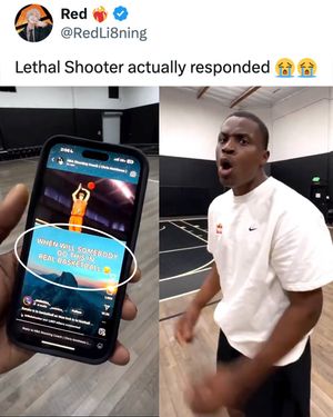 Image post by @houseofhighlights on Instagram