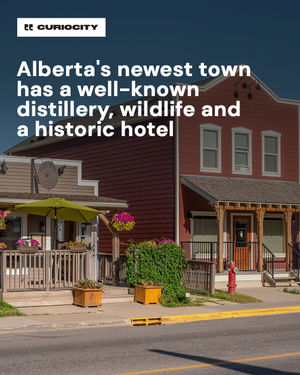 Image post by @curiocitycalgary on Instagram