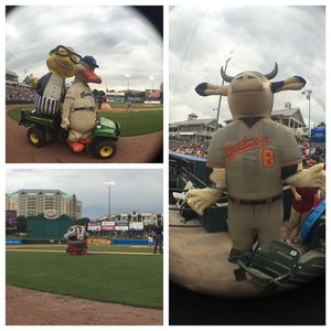 Image post by @friscoroughriders on Instagram