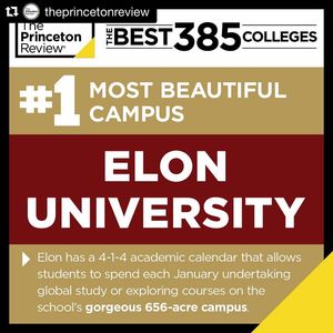 Image post by @elonvb on Instagram