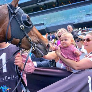 Image post by @australianturfclub on Instagram