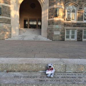Image post by @fordhamcab on Instagram