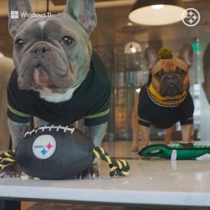 Image post by @steelers on Instagram