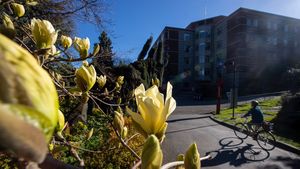Image post by @seattleu on Instagram