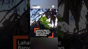 Video post by @accuweather on YouTube