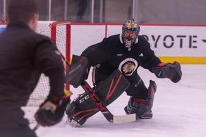 Image post by @karenmcclain_photo on Instagram