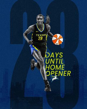 Image post by @dallaswings on Instagram