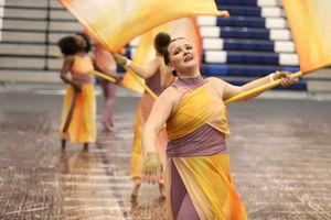 Image post by @wgisportofthearts on Instagram