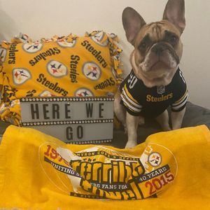 Image post by @steelers_nation_unite on Instagram