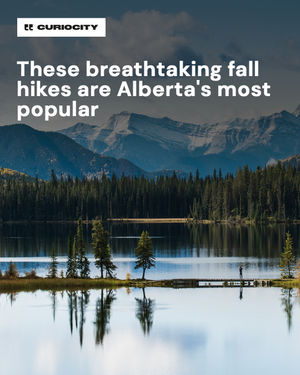 Image post by @curiocitycalgary on Instagram