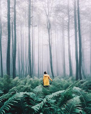Image post by @instagram on Instagram