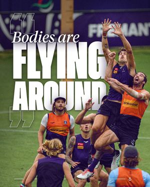 Image post by @freodockers on Instagram