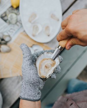 Image post by @themainemag on Instagram