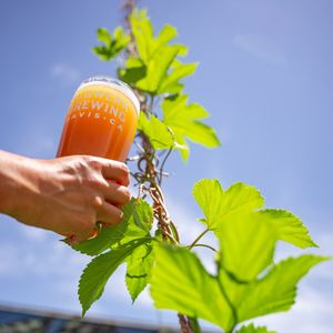 Image post by @sudwerkbrew on Instagram