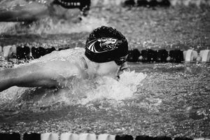 Image post by @mkepanthers on Instagram