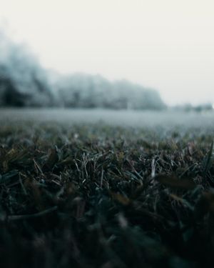 Image post by @kpearsonmedia on Instagram